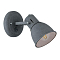 Спот ARTE LAMP A1677AP-1GY