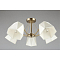 Люстра Omnilux OML-65007-05