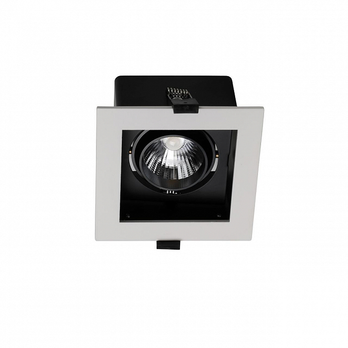 Светильник Favourite 1988-1C